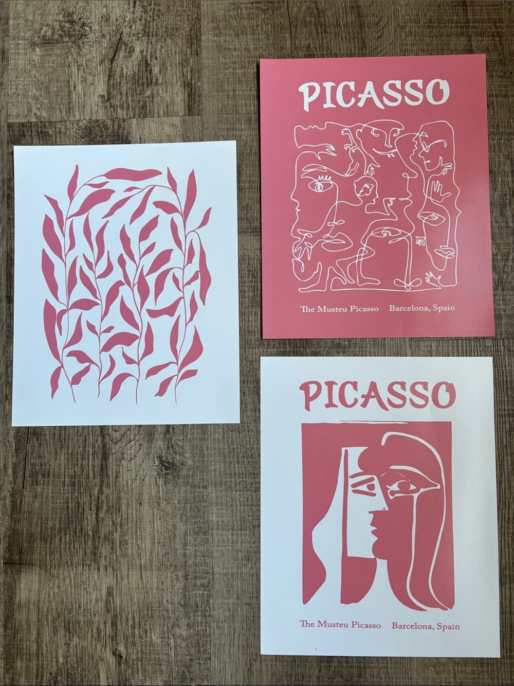Picasso-Inspired Wall Art Trio in Pink